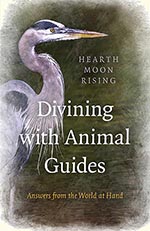 divining with animal guides book cover