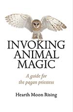 invoking animal magic book cover