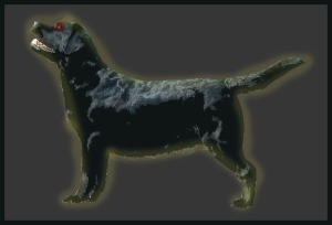 baskerdog